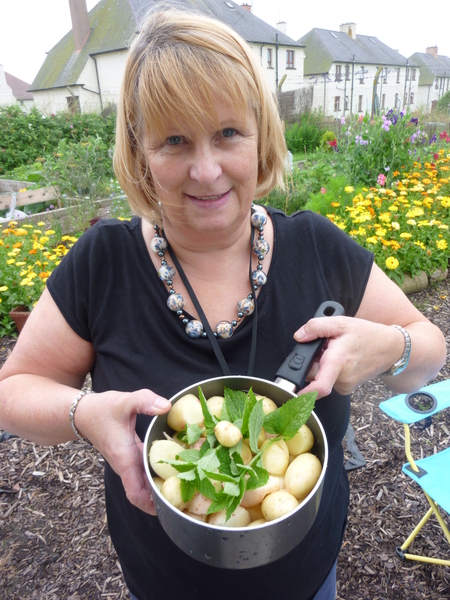 Volunteer gardeners needed