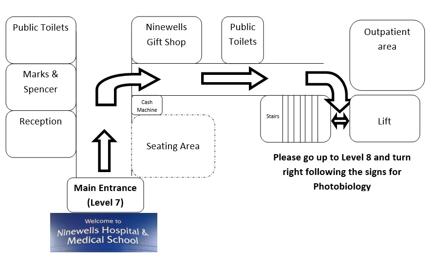 Directions to Photobiology