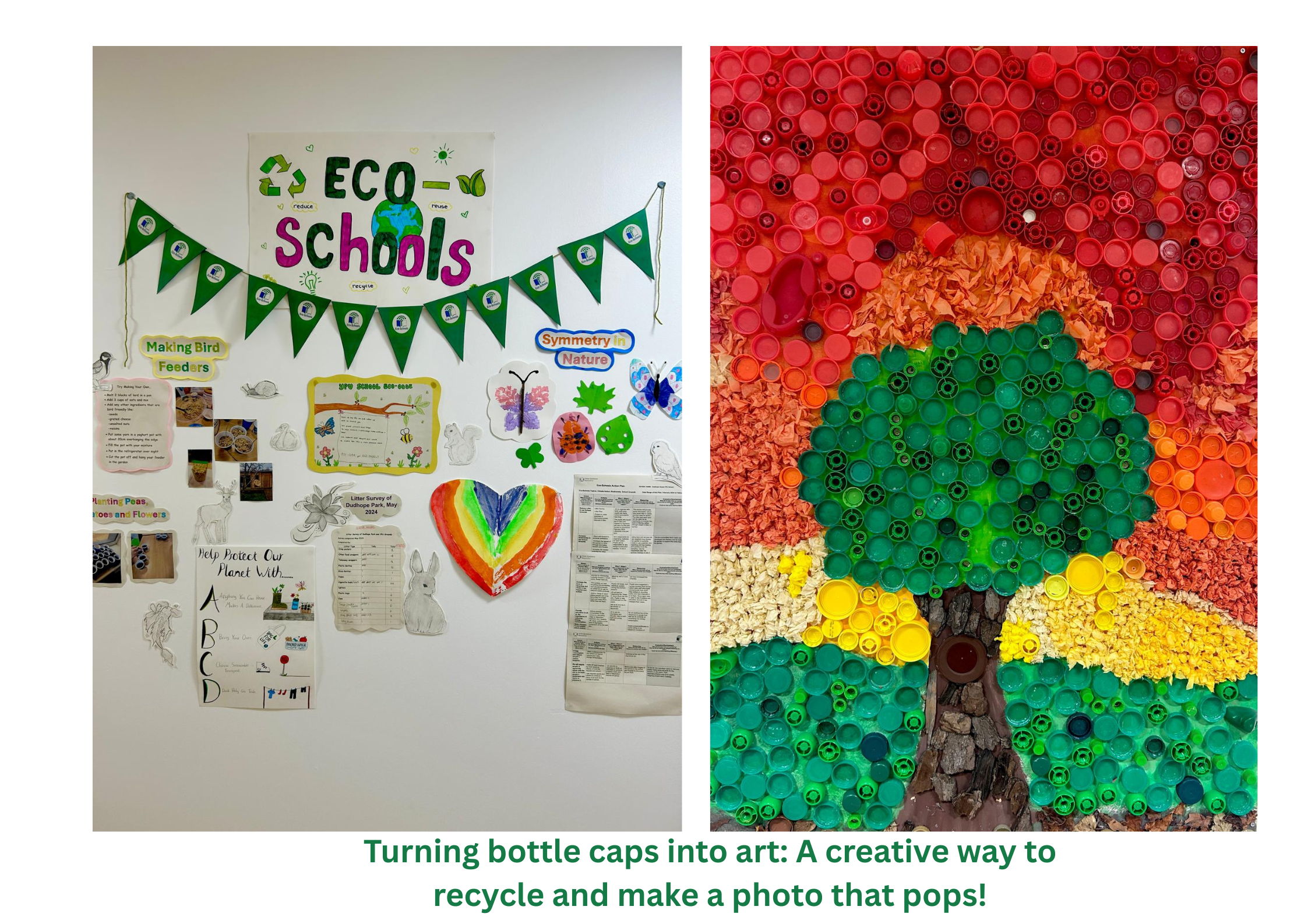 Dudhope YOU Eco school