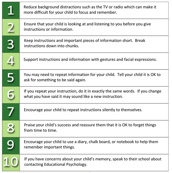 Working Memory School Age