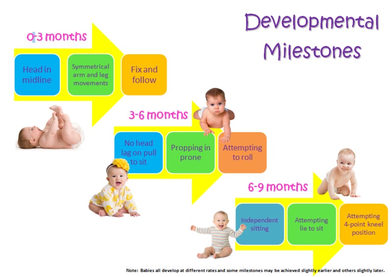 dev milestones 0-9