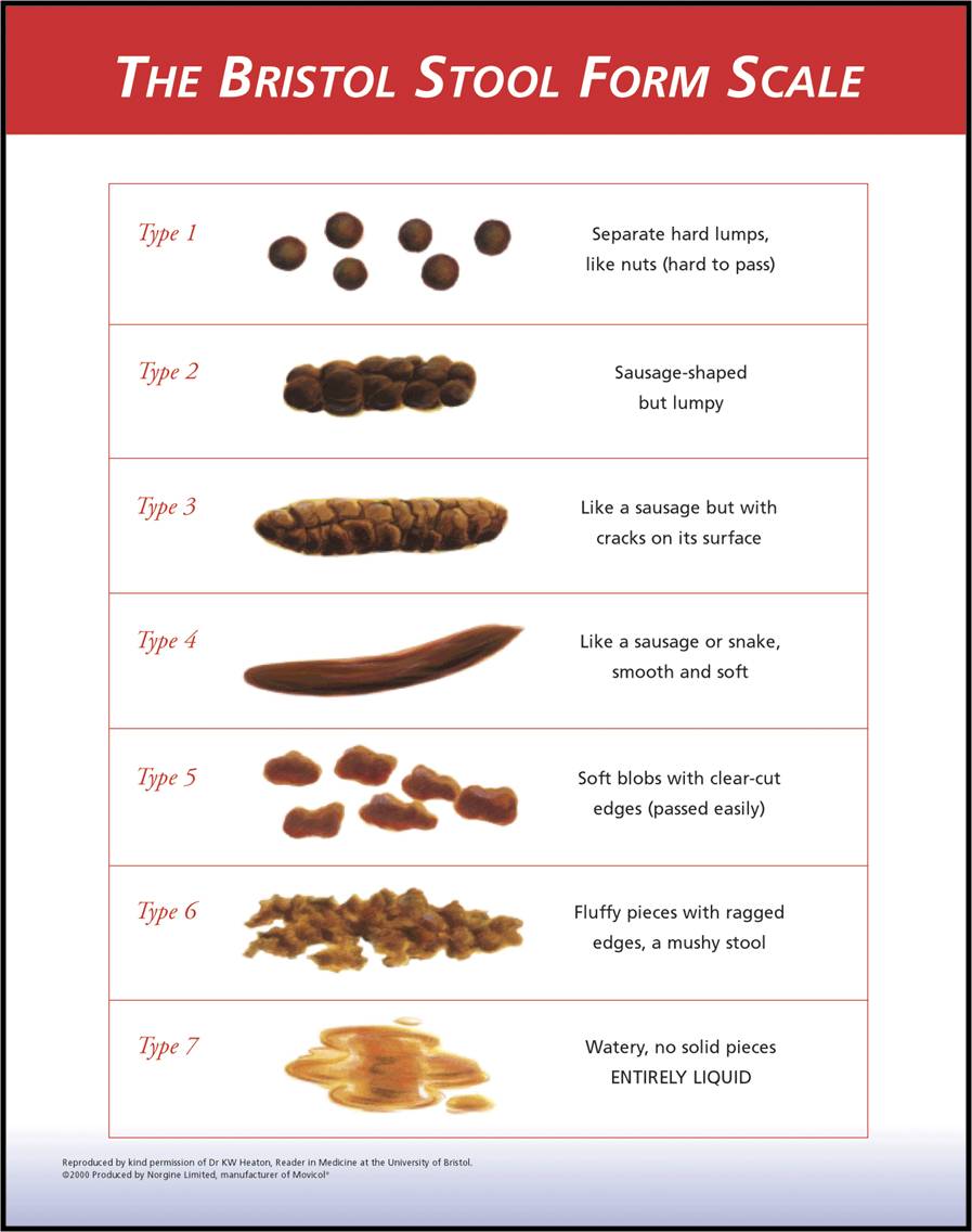 Bristol Stool Chart