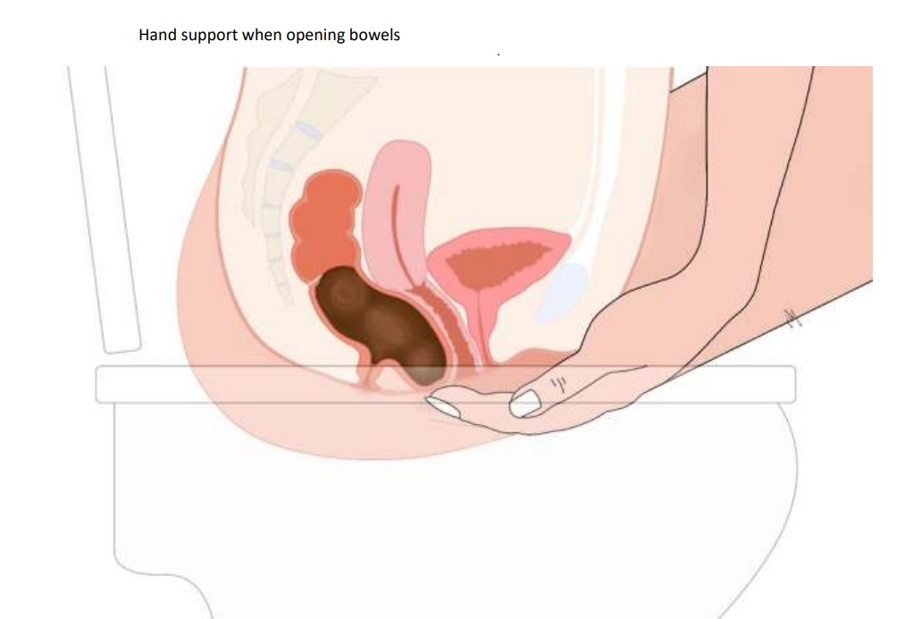 hand support during opening bowels