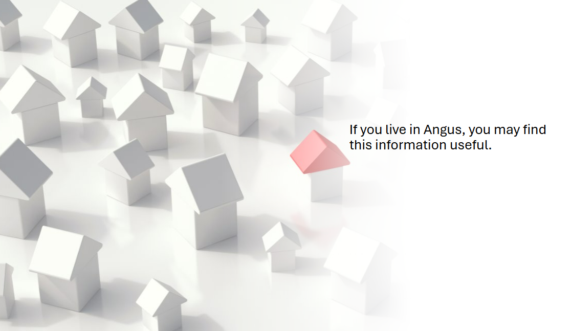 Angus
