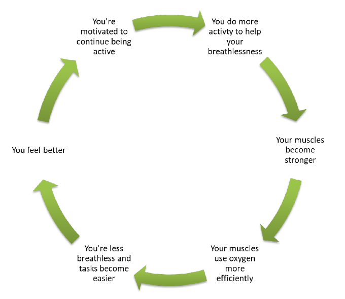 Activity loop