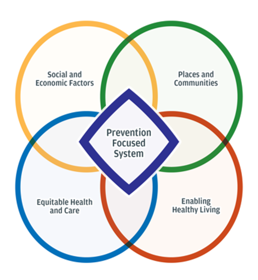 Public Health Prevention Drivers Diagram