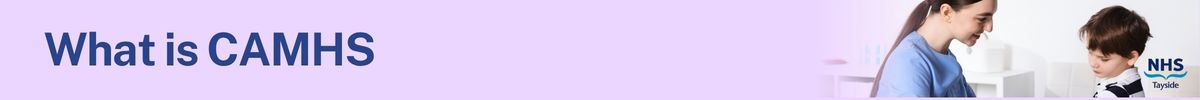 What is CAMHS breaker slim 1