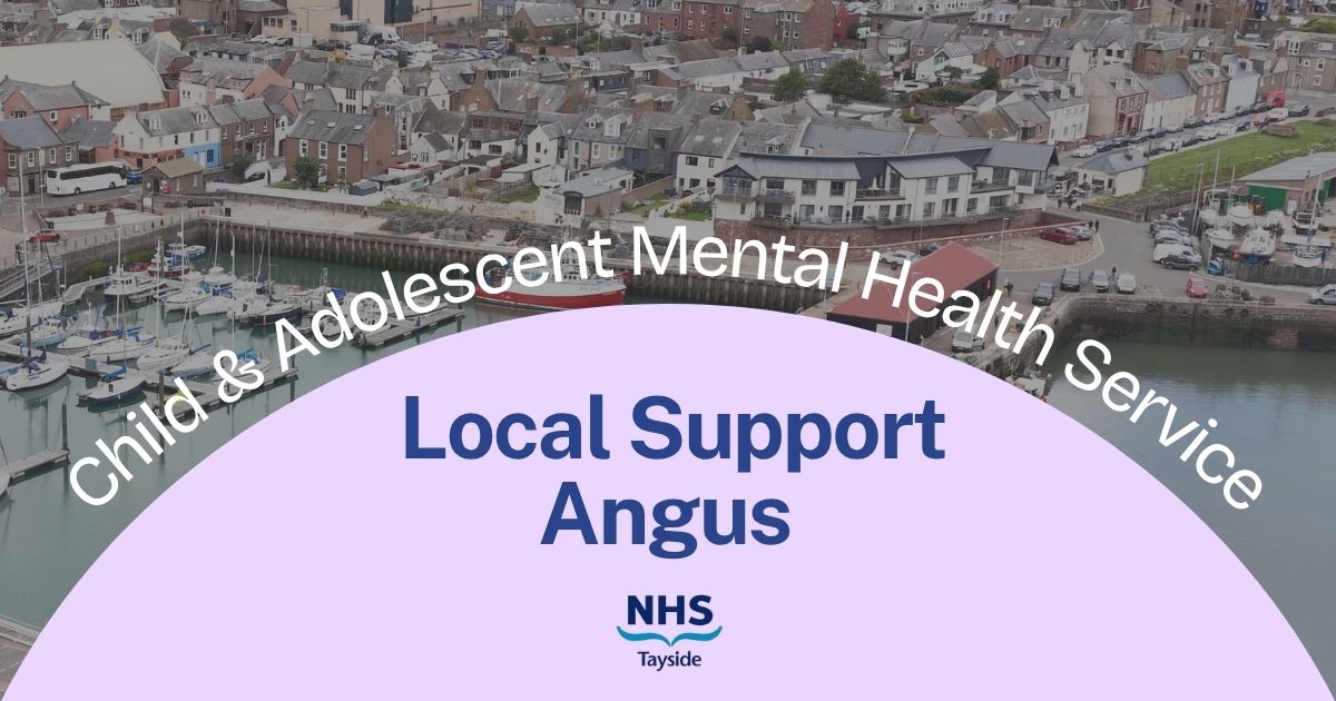 Local Support Angus Website Header
