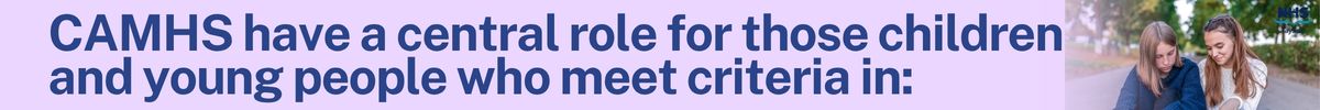 Referral Professionals CAMHS central role section break